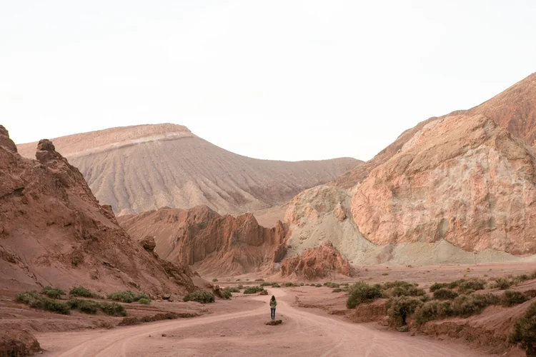 Desert landscape